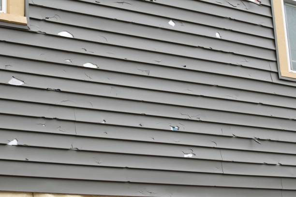 Best Vinyl Siding Installation  in Cudahy, CA